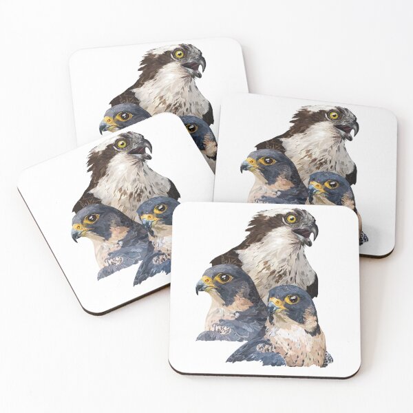 Item preview, Birds of prey designed and sold by obscurite.