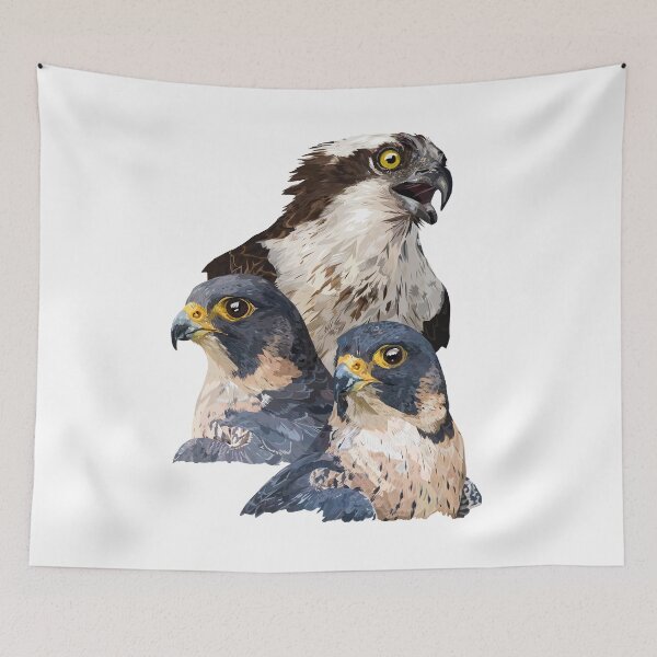 Item preview, Birds of prey designed and sold by obscurite.