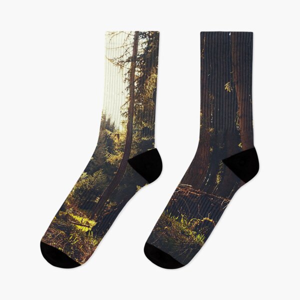 Item preview, Magical Forest Sunrise  designed and sold by olegarh.