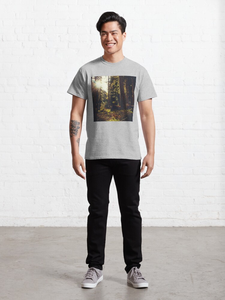 Download "Magical Forest Sunrise " T-shirt by olegarh | Redbubble