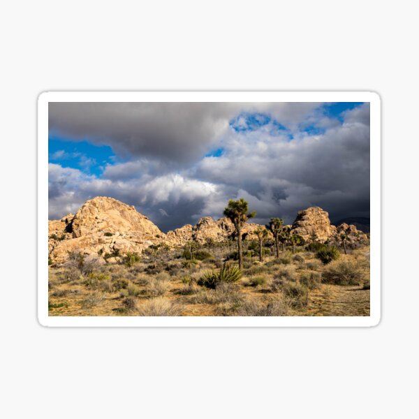 Item preview, Joshua Tree series 7429 designed and sold by PicsULove.