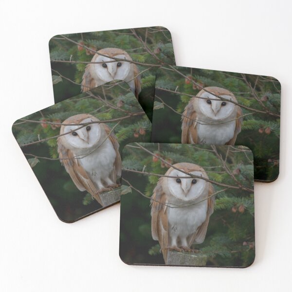 Item preview, barn owl designed and sold by tammy mellor.