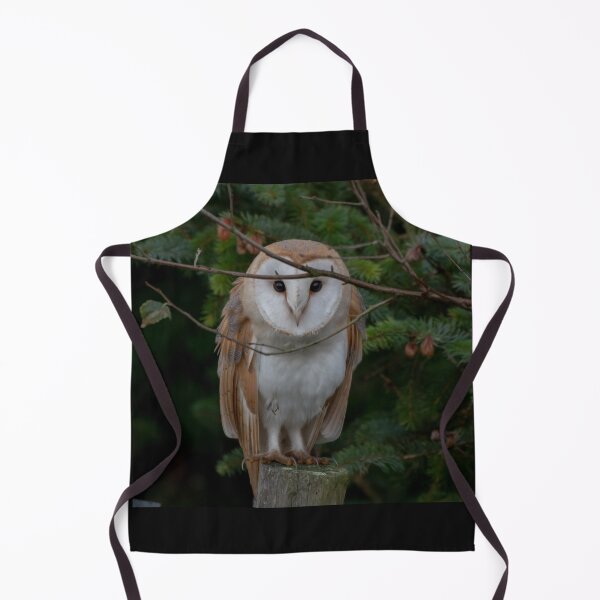 Item preview, barn owl designed and sold by tammy mellor.