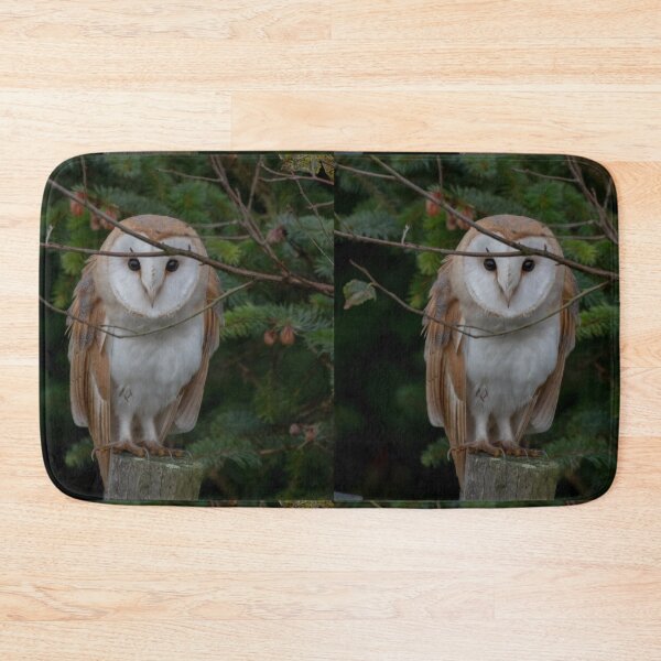 Item preview, barn owl designed and sold by tammy mellor.
