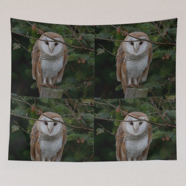 Item preview, barn owl designed and sold by tammy mellor.