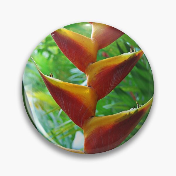 Item preview, Heliconia designed and sold by Kerry LeBoutillier.