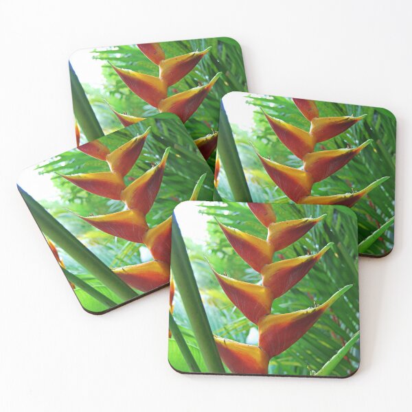 Item preview, Heliconia designed and sold by Kerry LeBoutillier.