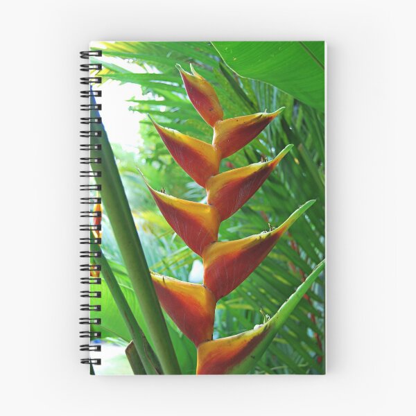 Item preview, Heliconia designed and sold by Kerry LeBoutillier.