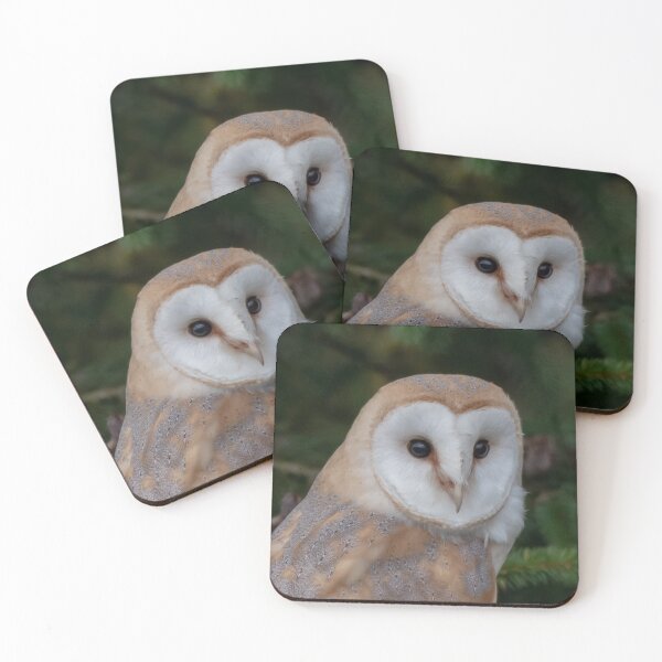 Item preview, barn owl designed and sold by tammy mellor.