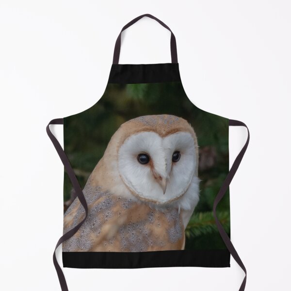 Item preview, barn owl designed and sold by tammy mellor.