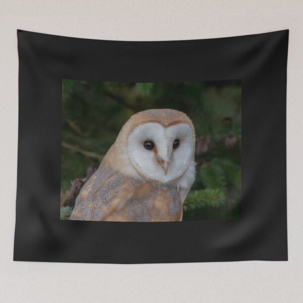 Item preview, barn owl designed and sold by tammy mellor.