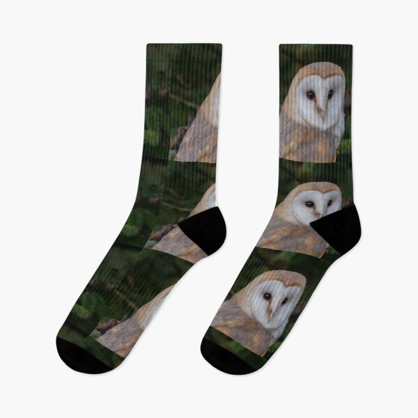 Item preview, barn owl designed and sold by tammy mellor.
