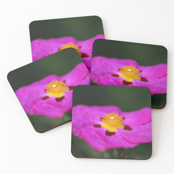 Item preview, Australian Hibiscus Desert Rose Flower designed and sold by Joy Watson - Natural Light Photography .