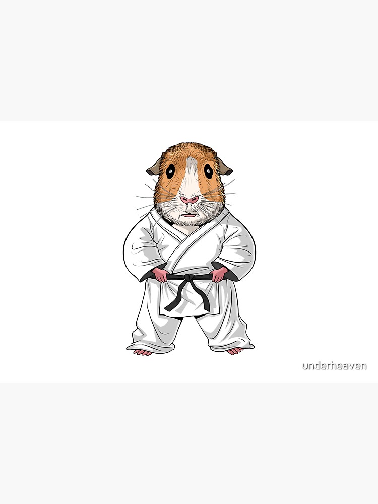 Guinea Pig Karate by underheaven