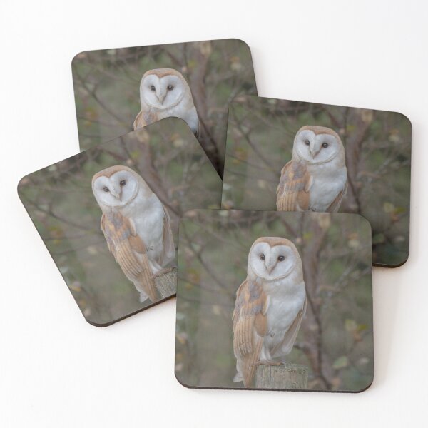 Item preview, barn owl designed and sold by tammy mellor.