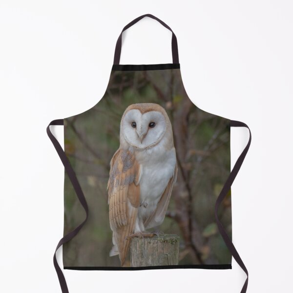 Item preview, barn owl designed and sold by tammy mellor.