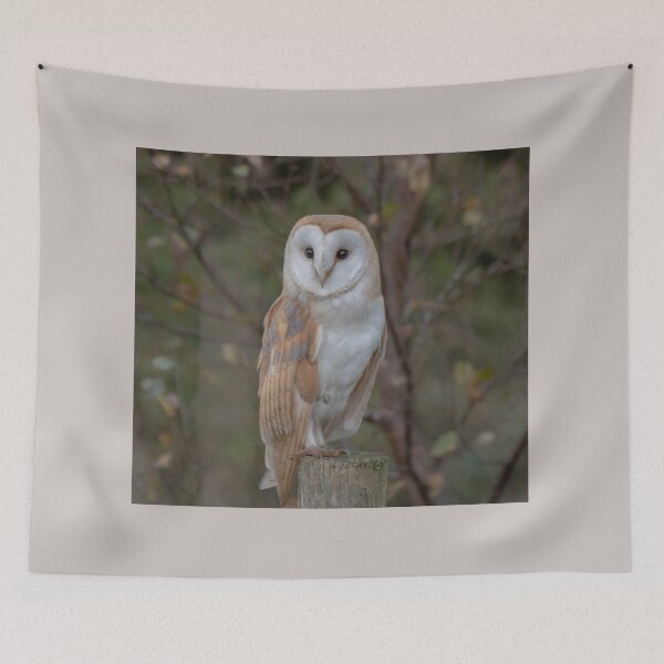 Item preview, barn owl designed and sold by tammy mellor.