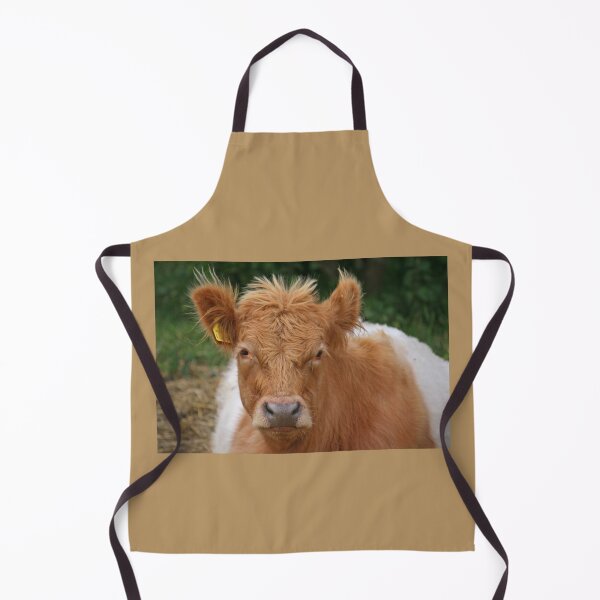 Item preview, Belted Galloway designed and sold by RedHillDigital.