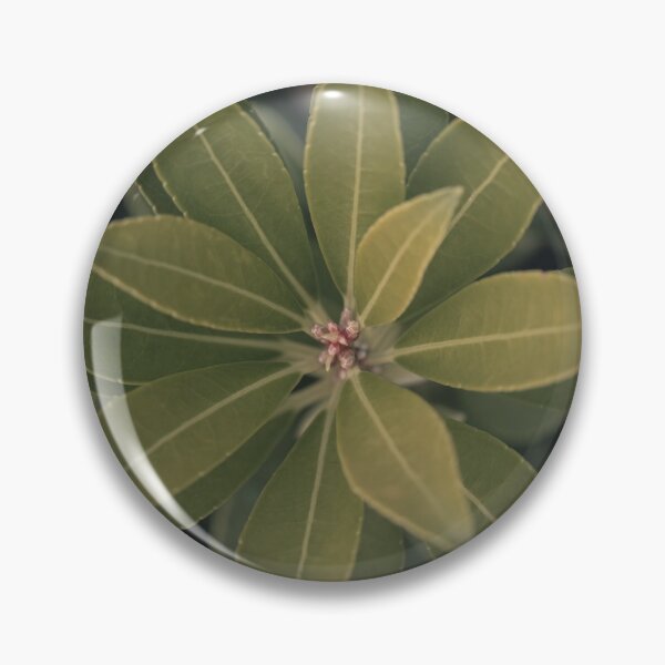 Item preview, Green Plant from Above designed and sold by EverydayHermit.