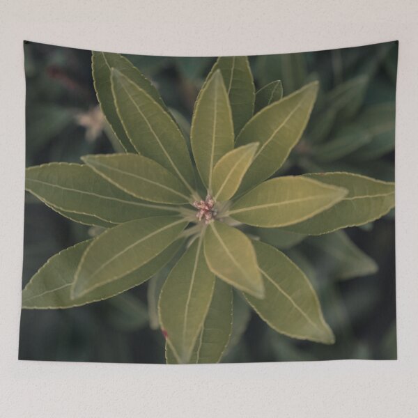 Item preview, Green Plant from Above designed and sold by EverydayHermit.