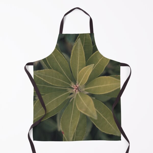 Item preview, Green Plant from Above designed and sold by EverydayHermit.