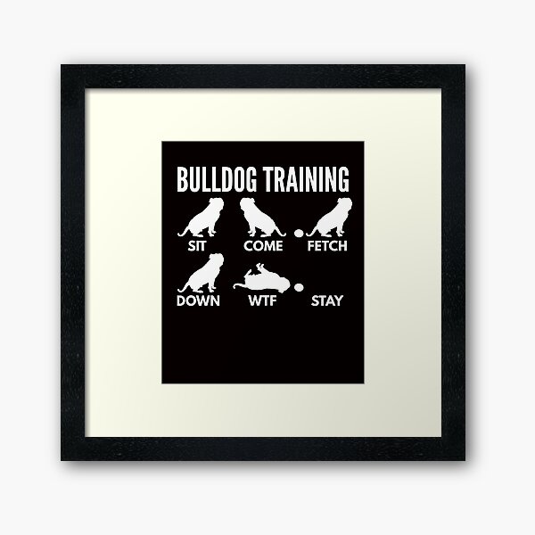 Artikel-Vorschau von American Bulldog Training, designt und verkauft von DoggyStyles.