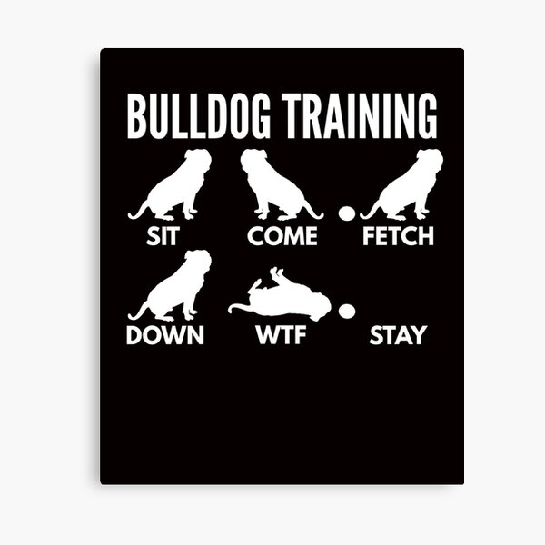 Artikel-Vorschau von American Bulldog Training, designt und verkauft von DoggyStyles.