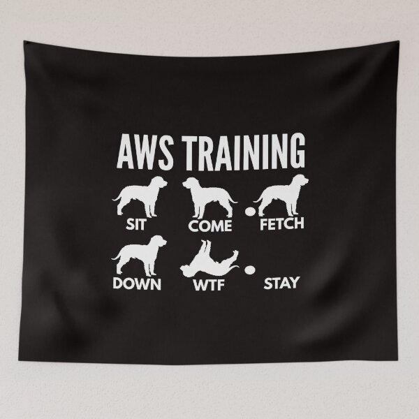Item preview, American Water Spaniel Training AWS Tricks designed and sold by DoggyStyles.