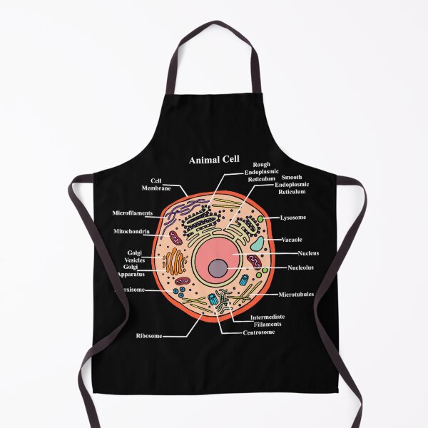 Item preview, Labeled Animal Cell Diagram designed and sold by BundaBear.