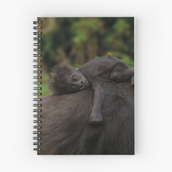 Item preview, Baby Gorilla Holding On To Her Mother designed and sold by rawshutterbug.