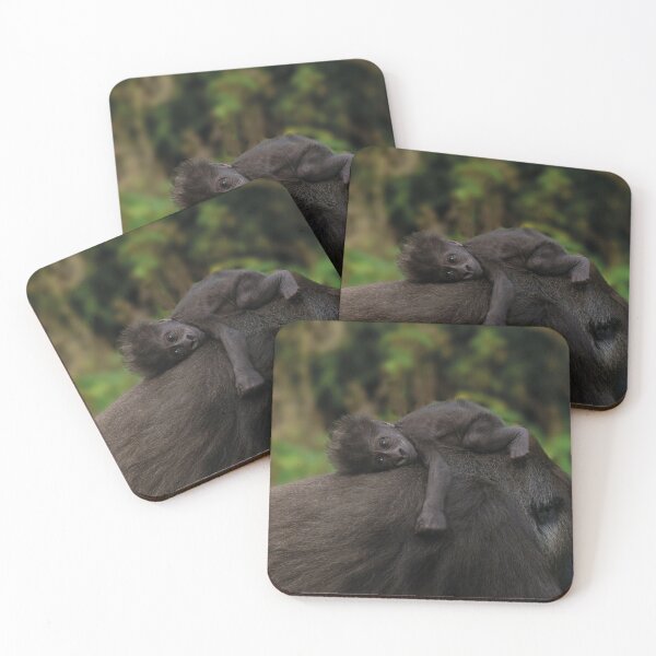 Item preview, Baby Gorilla Holding On To Her Mother designed and sold by rawshutterbug.
