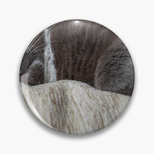 Item preview, Cat sleeping designed and sold by Mikko  Suhonen.