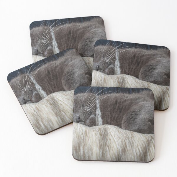 Item preview, Cat sleeping designed and sold by Mikko  Suhonen.