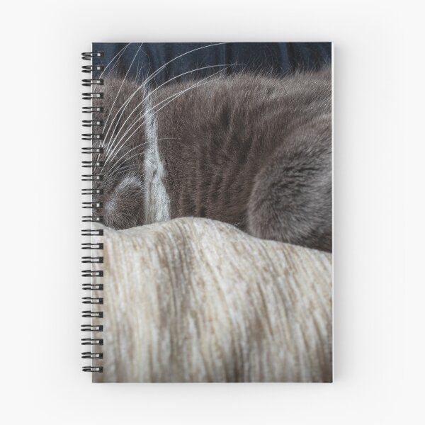 Item preview, Cat sleeping designed and sold by Mikko  Suhonen.