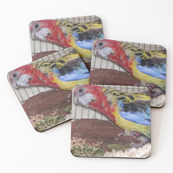 Item preview, Gorgeous rosella, bird, animal designed and sold by Sternchen2789.