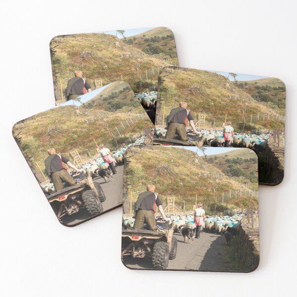 Item preview, Quad Herding  designed and sold by hawkie.
