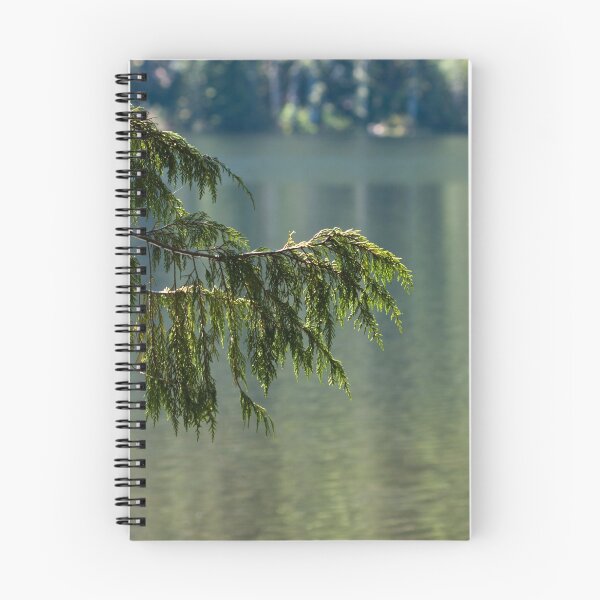 Item preview, A Branch Before the Lake designed and sold by Forty Frames.