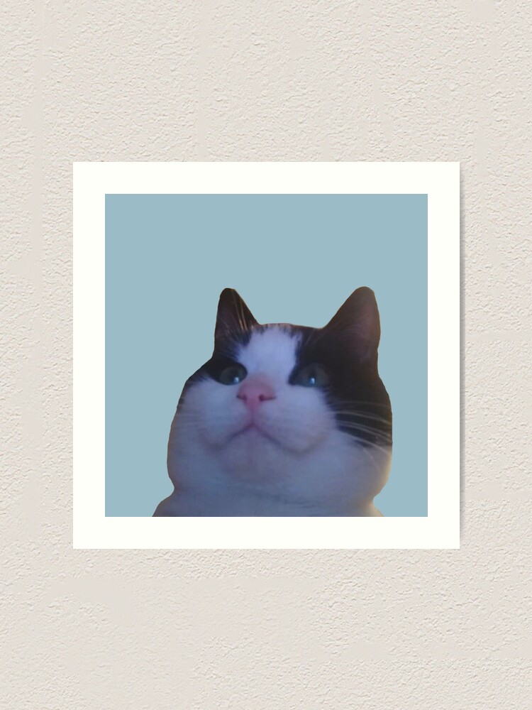 "Cat meme" Art Print for Sale by YourRubyFren Redbubble