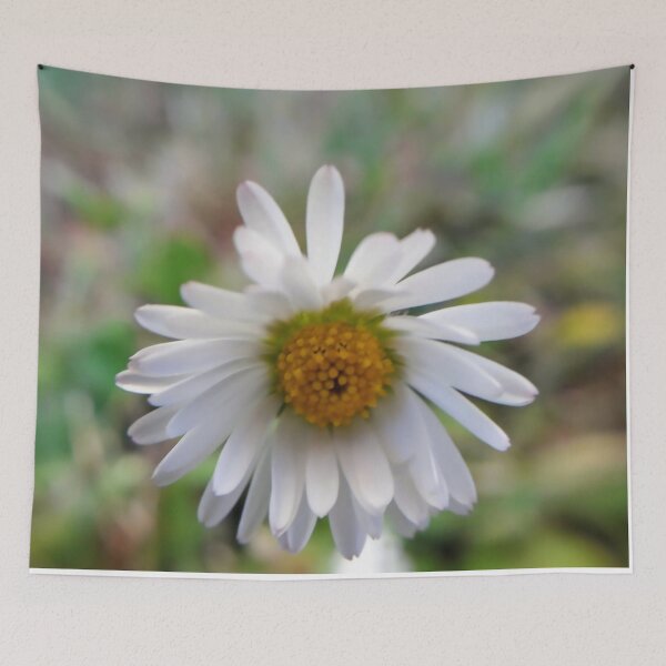 Item preview, Daisy White flowers Garden plants designed and sold by Tanja Dianova.