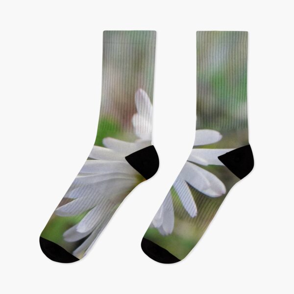 Item preview, Daisy White flowers Garden plants designed and sold by Tanja Dianova.