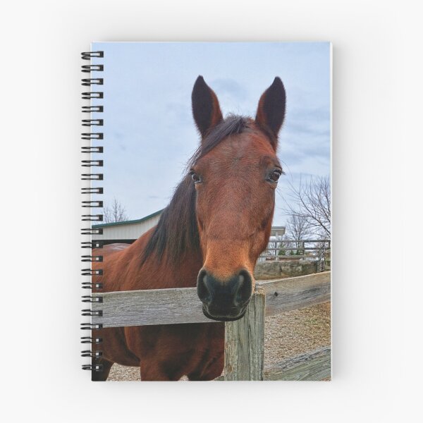 Item preview, Horse Feathers  designed and sold by Lanis Rossi.