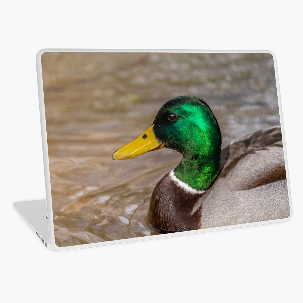 Item preview, Laptop Skin designed and sold by AYatesPhoto.