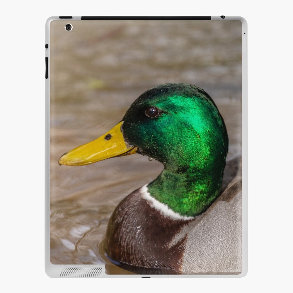 Item preview, iPad Skin designed and sold by AYatesPhoto.