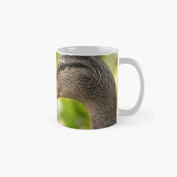 Female mallard duck portrait Classic Mug