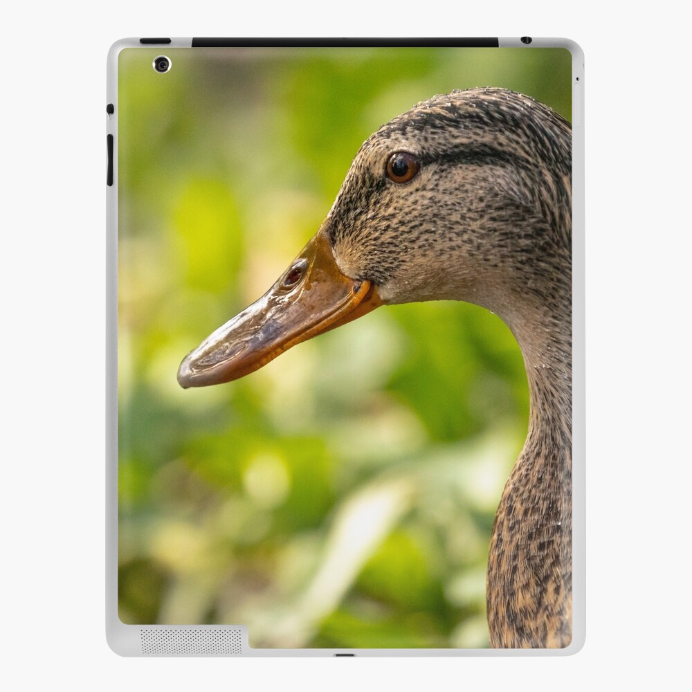 Item preview, iPad Skin designed and sold by AYatesPhoto.