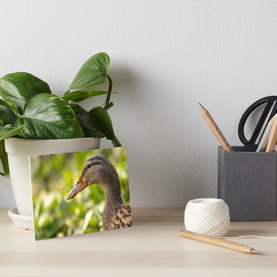 Item preview, Art Board Print designed and sold by AYatesPhoto.