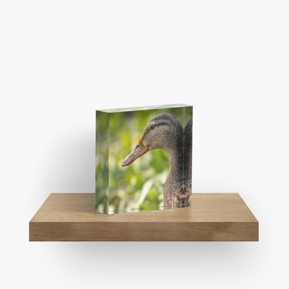 Item preview, Acrylic Block designed and sold by AYatesPhoto.