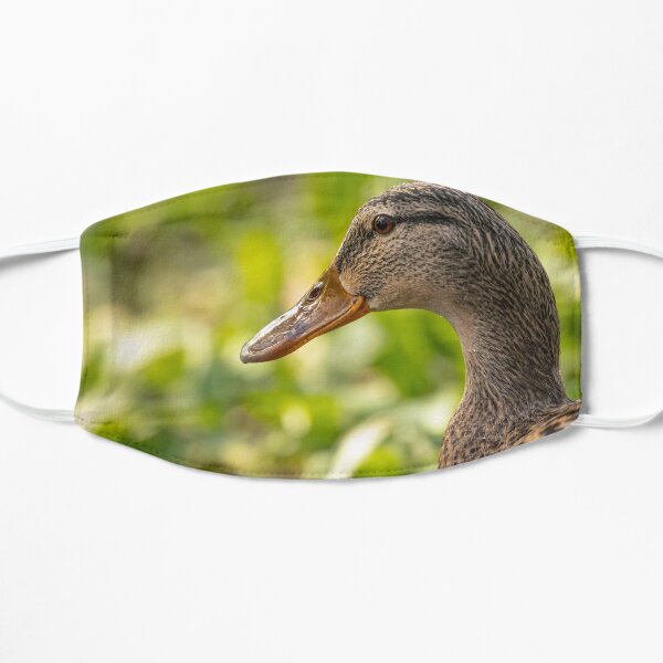 Female mallard duck portrait Flat Mask