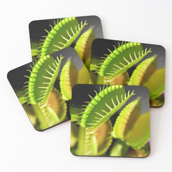 Item preview, Venus flytrap Dionaea muscipula Carnivorous plant Macro photography designed and sold by Tanja Dianova.