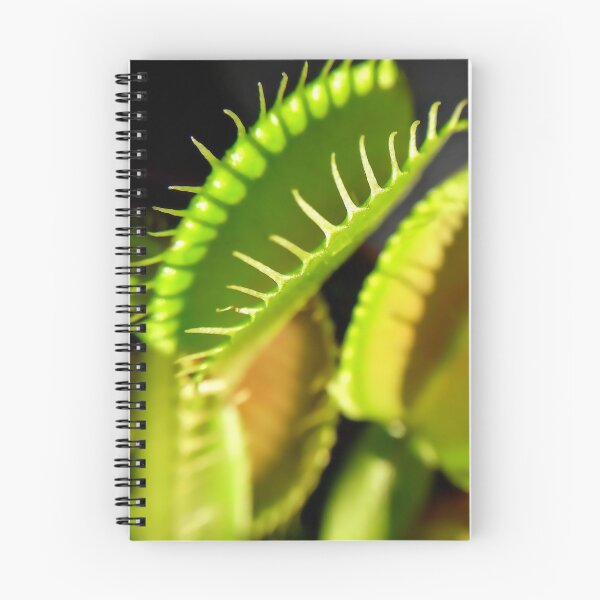 Item preview, Venus flytrap Dionaea muscipula Carnivorous plant Macro photography designed and sold by Tanja Dianova.